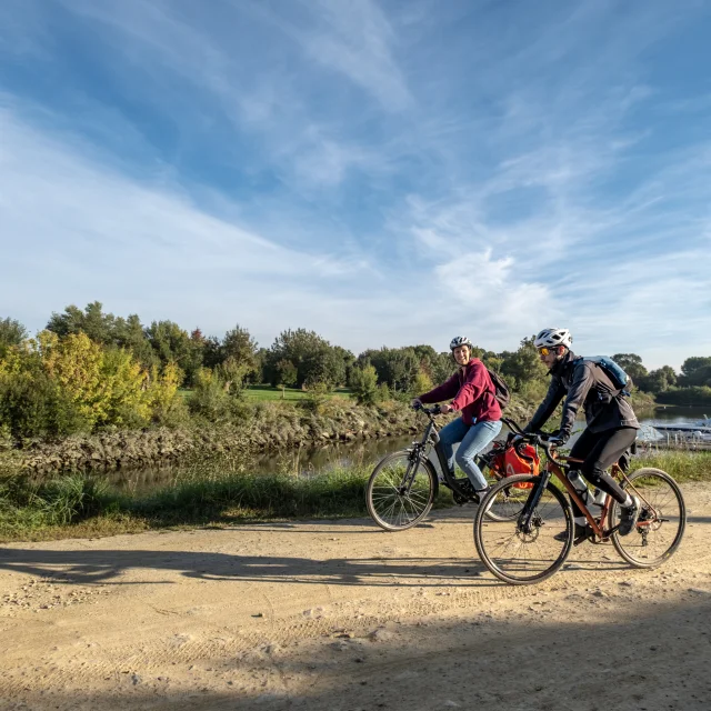 Getting around the Vignoble Nantais by car