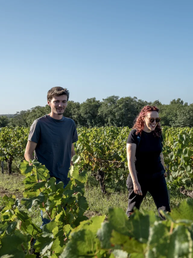 Hiking weekend near Nantes: hiking break with views over the vines and the maine valley at Pont Caffino on the GR de Pays Sèvre et Maine Boucle du Vignoble (vineyard loop)