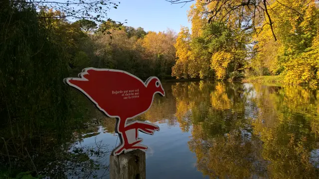 Family hiking weekend: Murmures de Rochers family trail