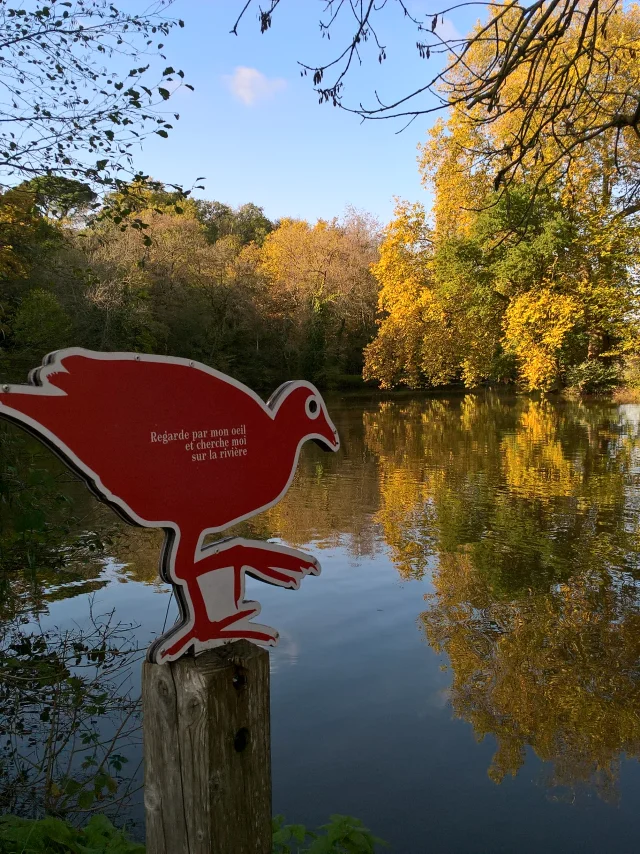 Family hiking weekend: Murmures de Rochers family trail