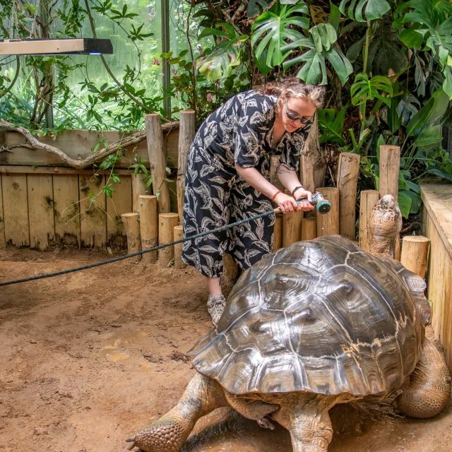 Our must-sees: Boissière du Doré Zoo