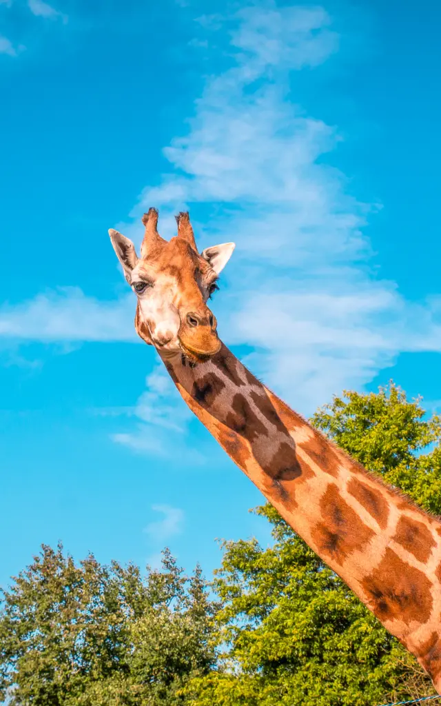 Nos incontournables : Zoo de la Boissière du Doré