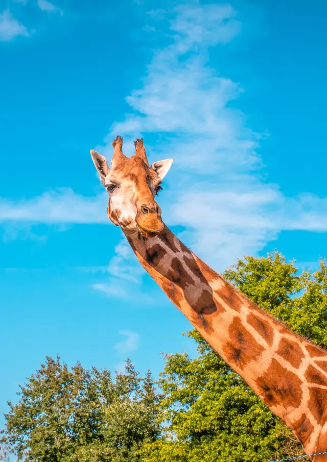 Nos incontournables : Zoo de la Boissière du Doré