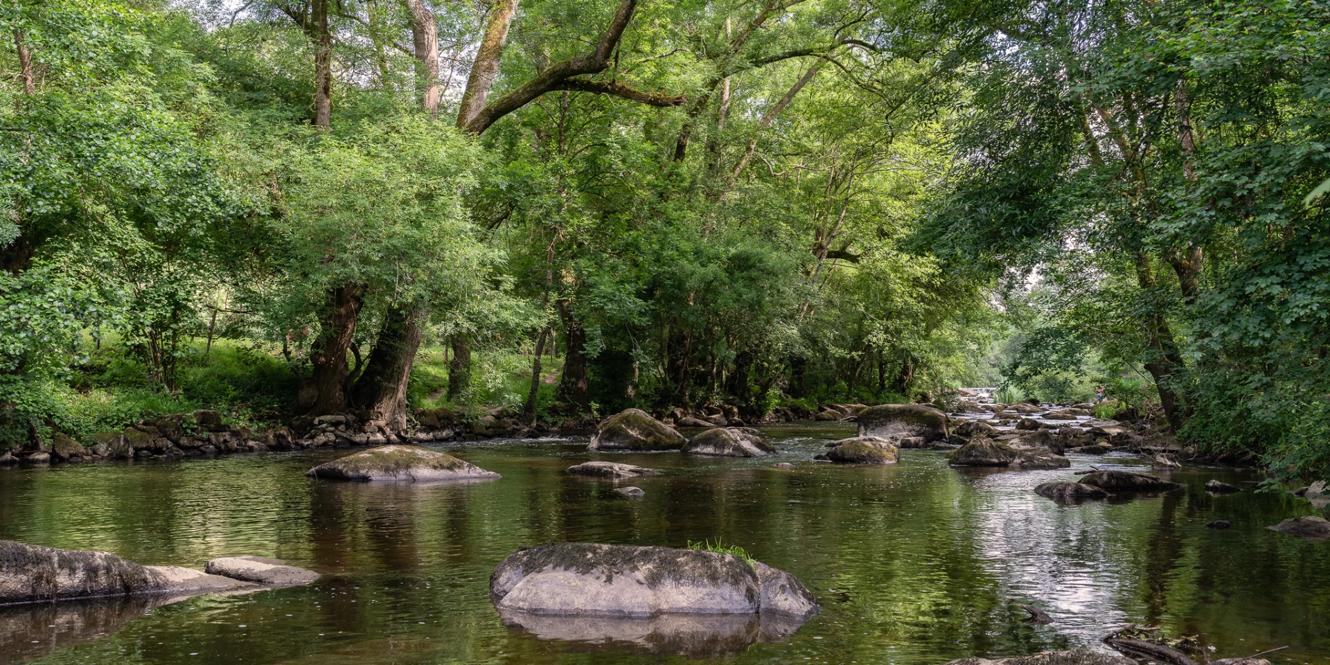Our must-sees: the Maine, a living river in the Nantes vineyards