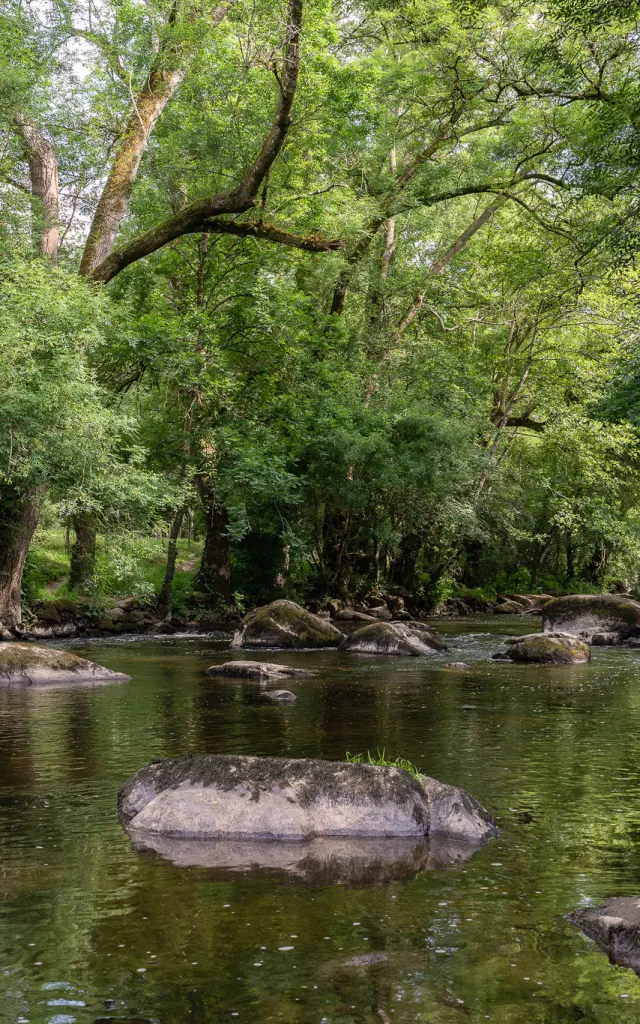 Nos incontournables : la Maine, rivière vivante du Vignoble Nantais