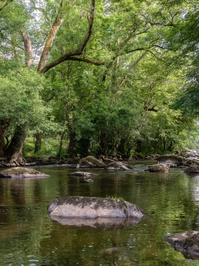 Our must-sees: the Maine, a living river in the Nantes vineyards