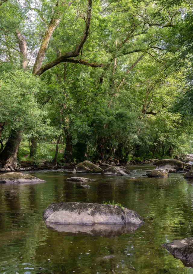 Nos incontournables : la Maine, rivière vivante du Vignoble Nantais