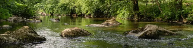 Our must-sees: the Maine, a living river in the Nantes vineyards