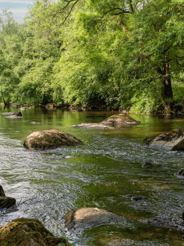 Hiking weekend near Nantes : GR de Pays Sèvre et Maine, vineyard loop, on the banks of the Maine river