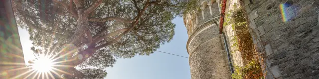 All the heritage of the Vignoble Nantais: Notre-Dame church seen from the rue de la collégiale