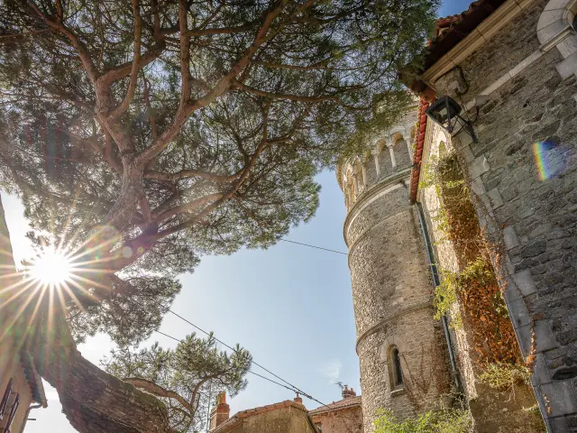 All the heritage of the Vignoble Nantais: Notre-Dame church seen from the rue de la collégiale