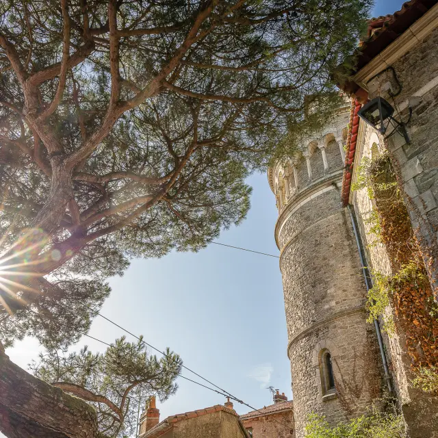 All the heritage of the Vignoble Nantais: Notre-Dame church seen from the rue de la collégiale