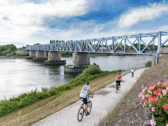 Our must-sees: the banks of the Loire in the Vignoble Nantais, the Divatte levee