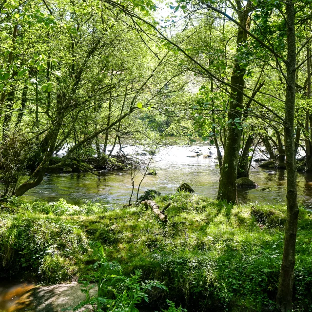 Our must-sees: Domaine de la Garenne Lemot