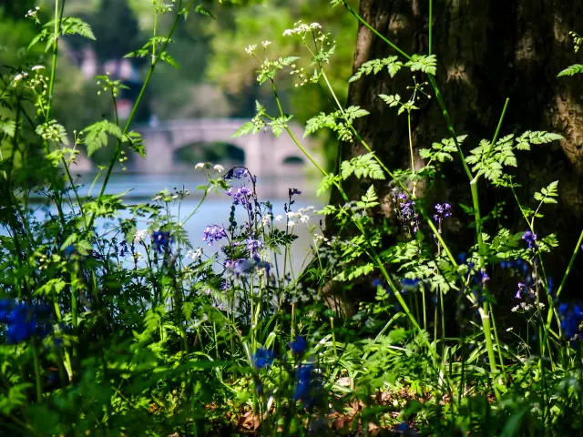 Our must-sees: Domaine de la Garenne Lemot