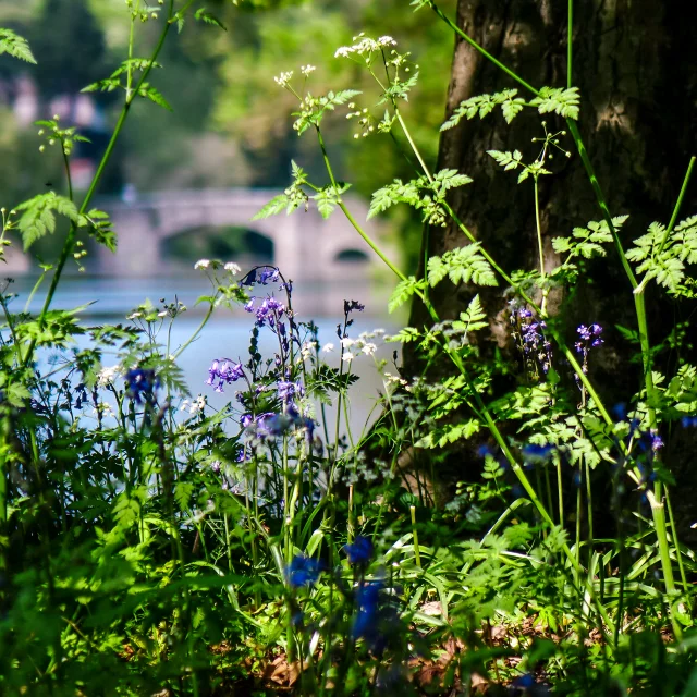 Our must-sees: Domaine de la Garenne Lemot