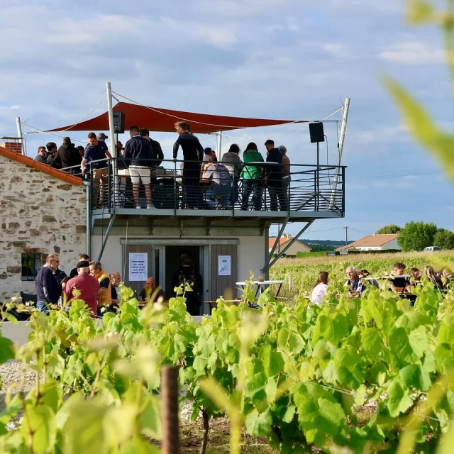 Les Guinguettes dans le Vignoble Nantais : Guinguette La Cabane, caveau vigneron à Mouzillon