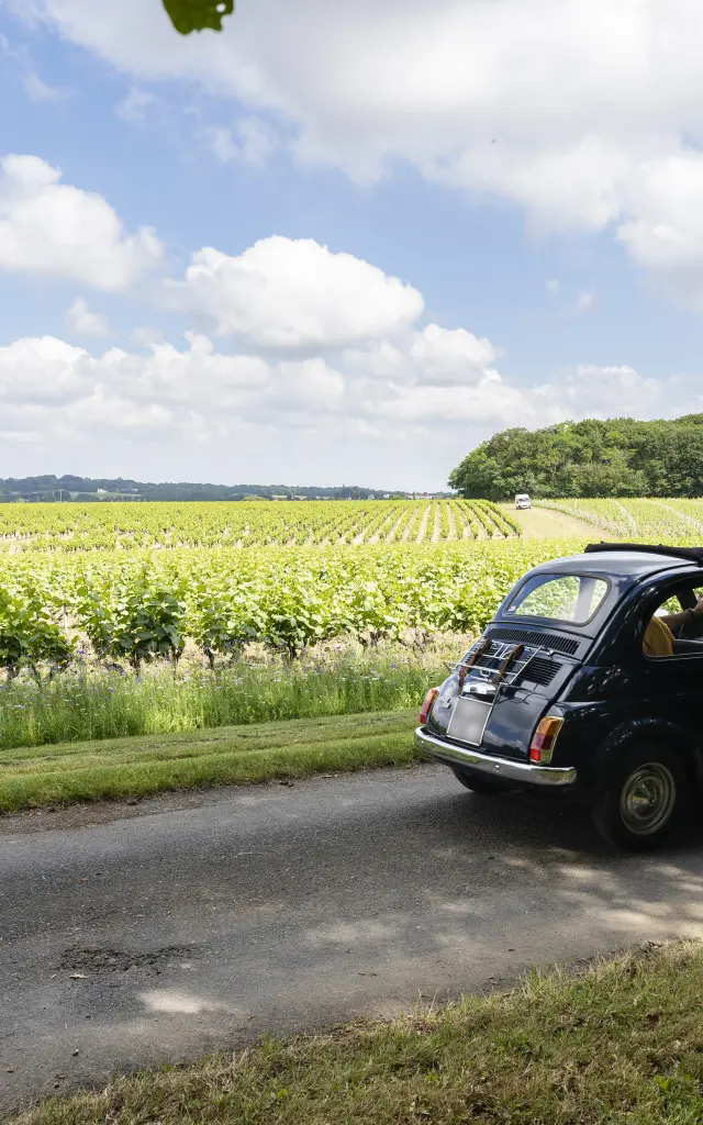 How to cycle to the Vignoble Nantais by car