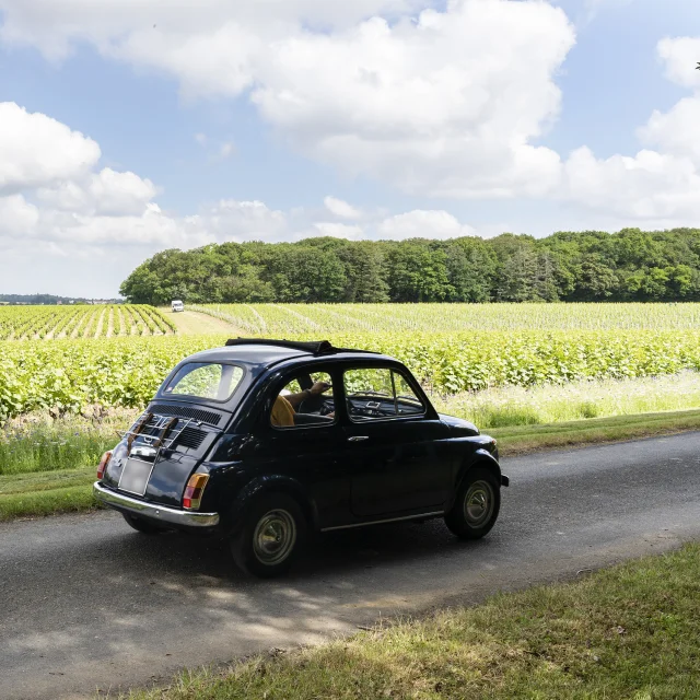 How to cycle to the Vignoble Nantais by car