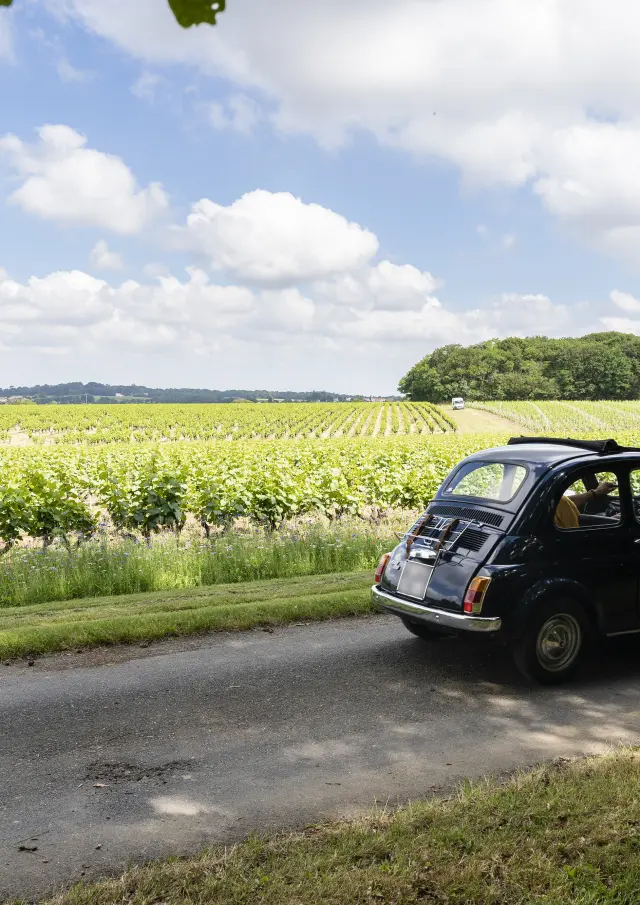 How to cycle to the Vignoble Nantais by car