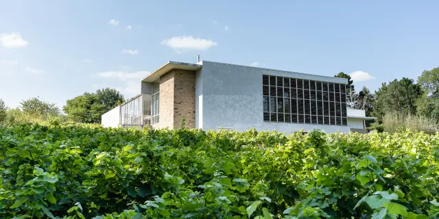 Muscadet tasting weekend near Nantes: Visit the Musée du Vignoble Nantais