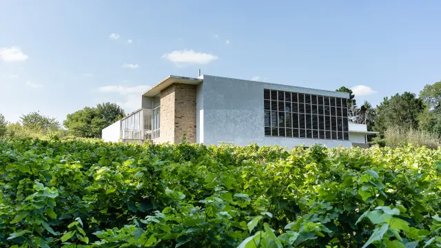 Idée week-end dégustation muscadet près de nantes : Visite du Musée du Vignoble Nantais