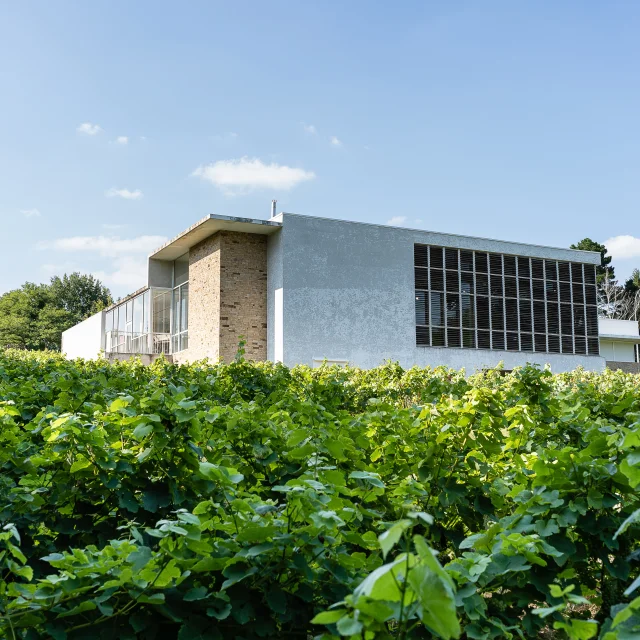 Idée week-end dégustation muscadet près de nantes : Visite du Musée du Vignoble Nantais