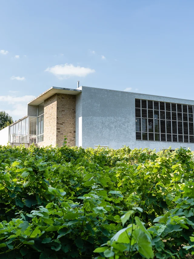 Muscadet tasting weekend near Nantes: Visit the Musée du Vignoble Nantais
