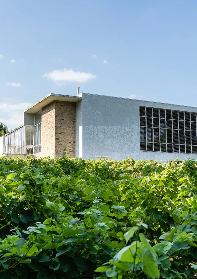 Idée week-end dégustation muscadet près de nantes : Visite du Musée du Vignoble Nantais