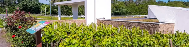 Our must-sees: The Vignoble Nantais Museum