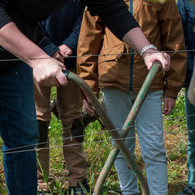 Our must-sees: The Musée du Vignoble Nantais and its Touche-à-tout trail