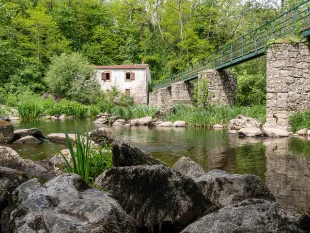 Our must-sees: the Maine, a living river in the Nantes vineyards