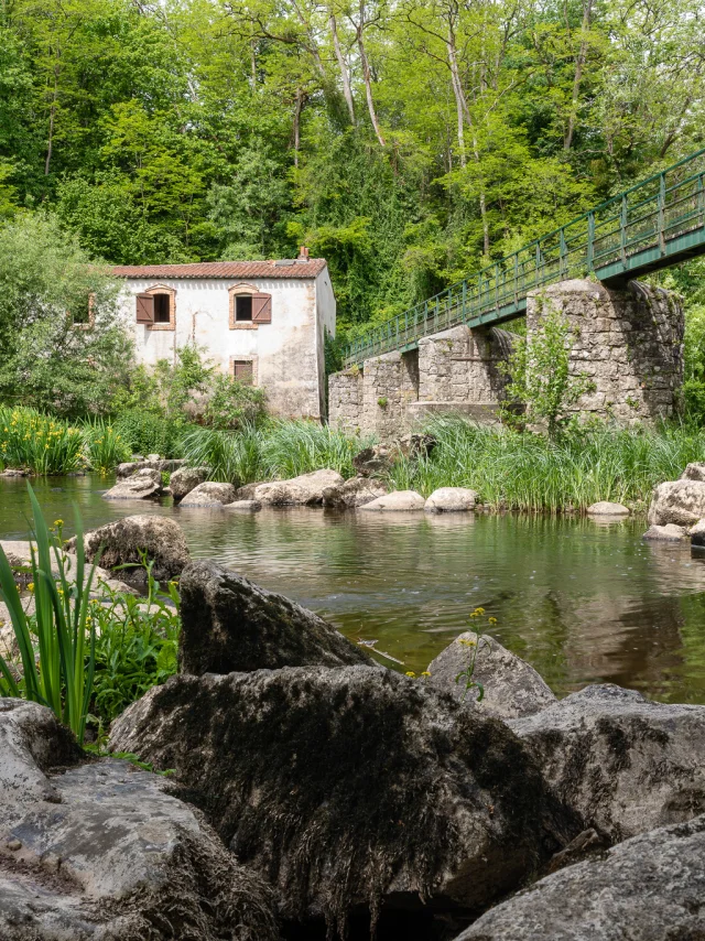 Weekend hiking near Nantes : GR de Pays Sèvre et Maine, vineyard loop, at Aigrefeuille