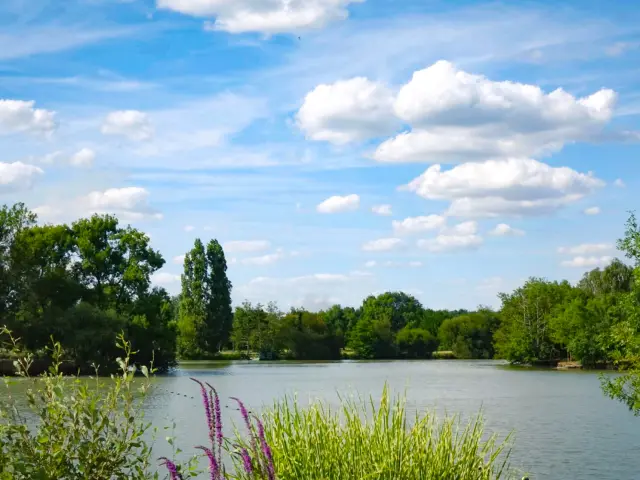Picnic lunch during a family weekend at the Plan d'eau du chêne in saint-Julien-de-Concelles