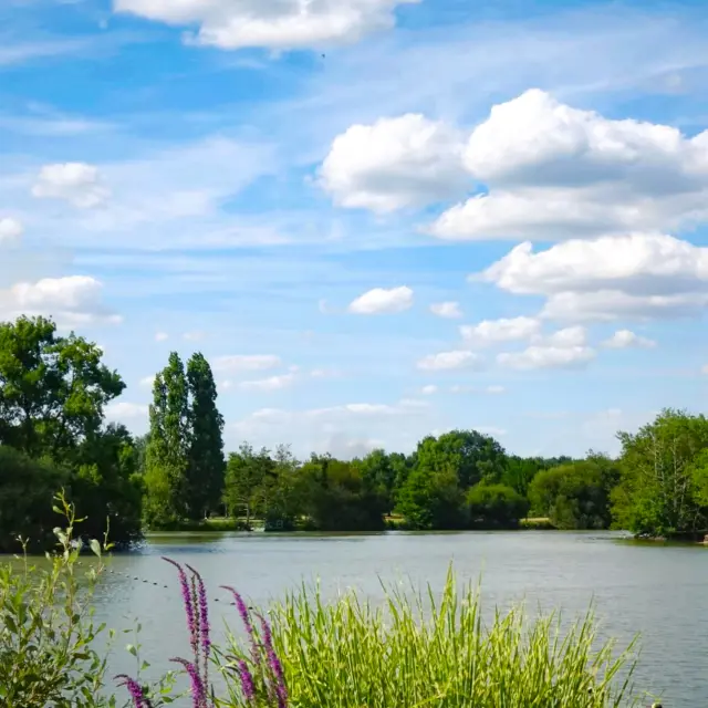 Picnic lunch during a family weekend at the Plan d'eau du chêne in saint-Julien-de-Concelles