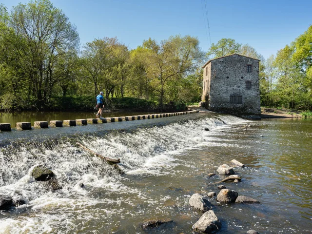 Our must-sees: the Sèvre Nantaise, the backbone of the Nantes vineyards