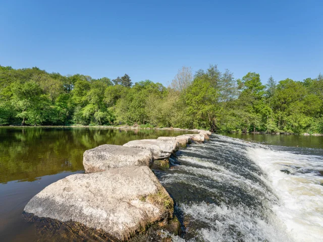 Our must-sees: the Sèvre Nantaise, the backbone of the Nantes vineyards