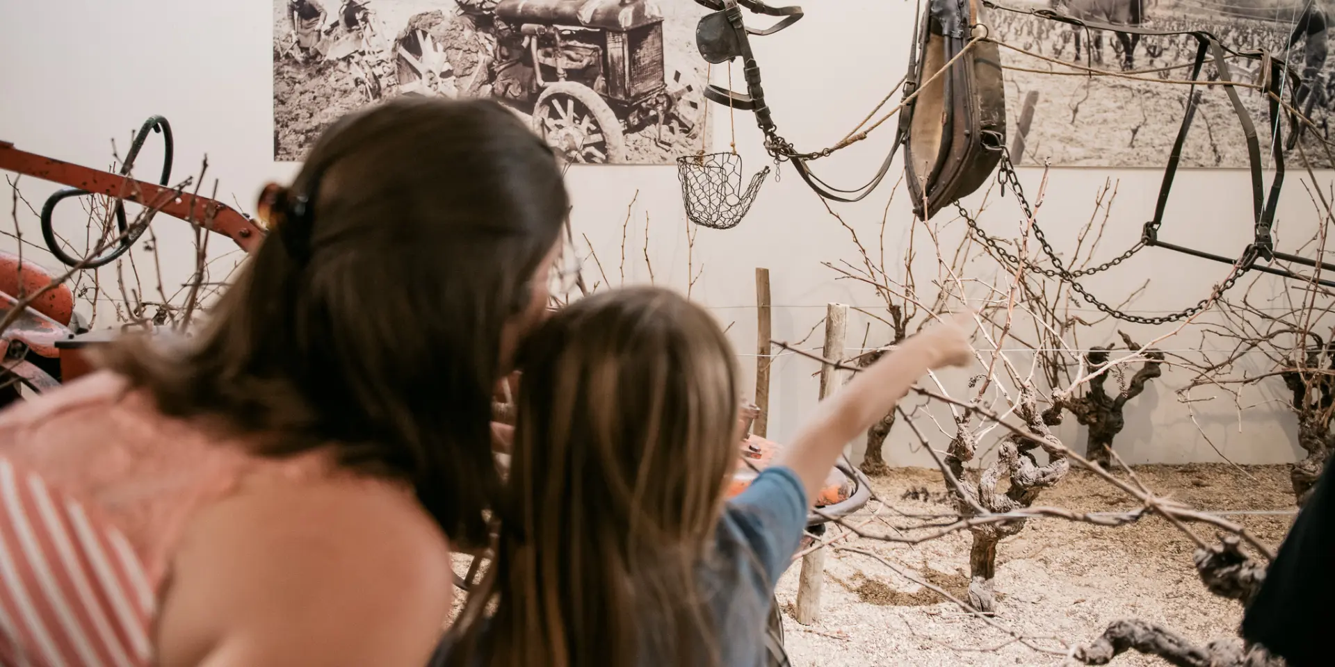 The vineyards from a child's point of view: visit the Musée du Vignoble Nantais