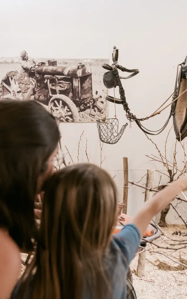The vineyards from a child's point of view: visit the Musée du Vignoble Nantais