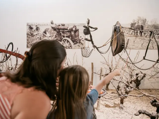 The vineyards from a child's point of view: visit the Musée du Vignoble Nantais