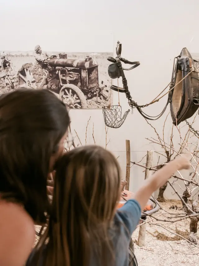 The vineyards from a child's point of view: visit the Musée du Vignoble Nantais