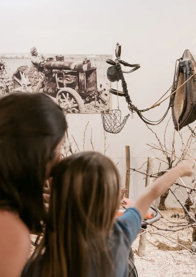 Le Vignoble à hauteur d’enfants : visite du Musée du Vignoble Nantais