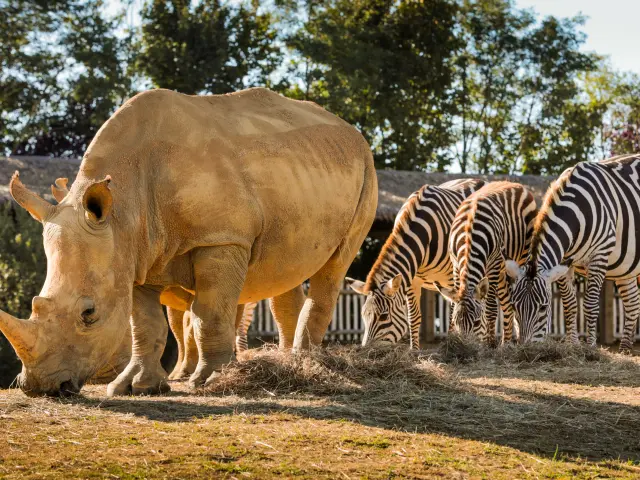 Parcs animaliers et fermes pédagogiques du Vignoble Nantais : le zoo de la Boissière-du-Doré