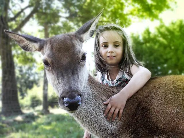 Parcs animaliers et fermes pédagogiques du Vignoble Nantais : Naturalparc à St Laurent Des Autels