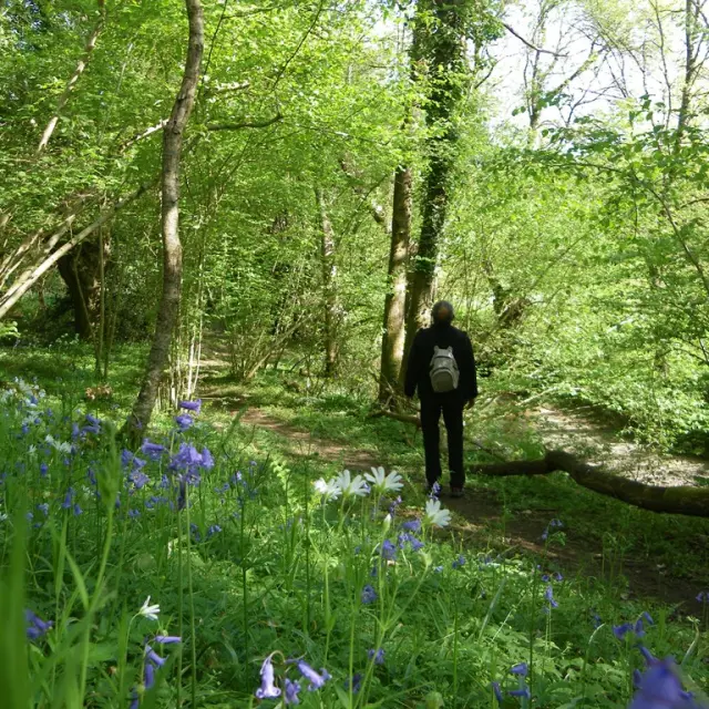 2018 Rando Divattesurloire Levignoblenantes Tourisme 12