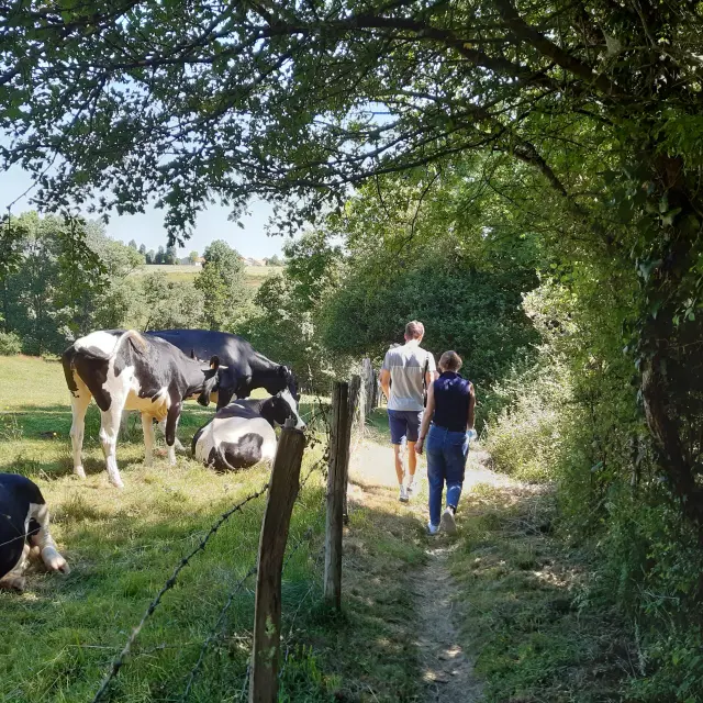 20210612 113312 Rotated