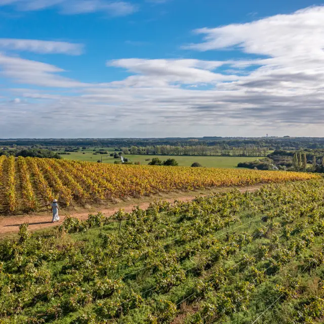 Hiking in the Vignoble Nantais : Butte de la Roche, hiking near Nantes