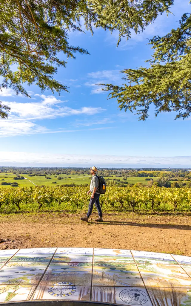 Points de vue inoubliables du Vignoble Nantais : Butte De La Roche