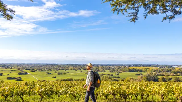 Points de vue inoubliables du Vignoble Nantais : Butte De La Roche