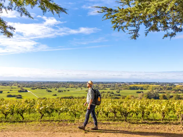 Points de vue inoubliables du Vignoble Nantais : Butte De La Roche